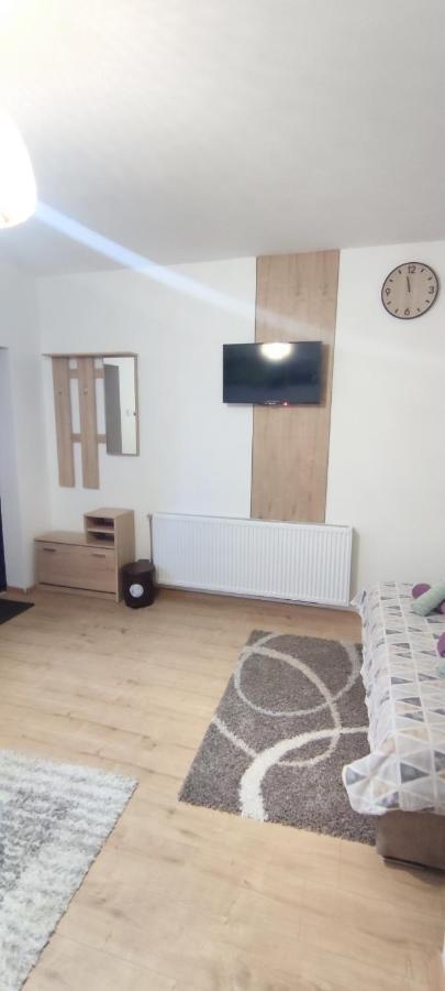 Zen Apartmani Zrenjanin Bagian luar foto