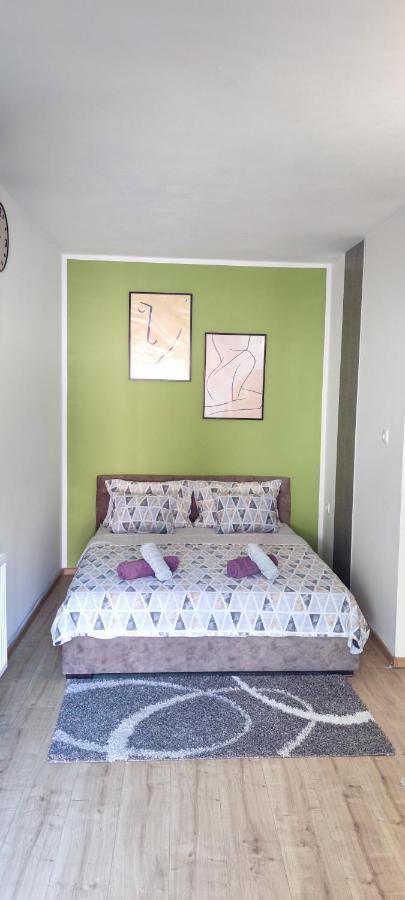 Zen Apartmani Zrenjanin Bagian luar foto